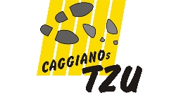 Caggianos TZU